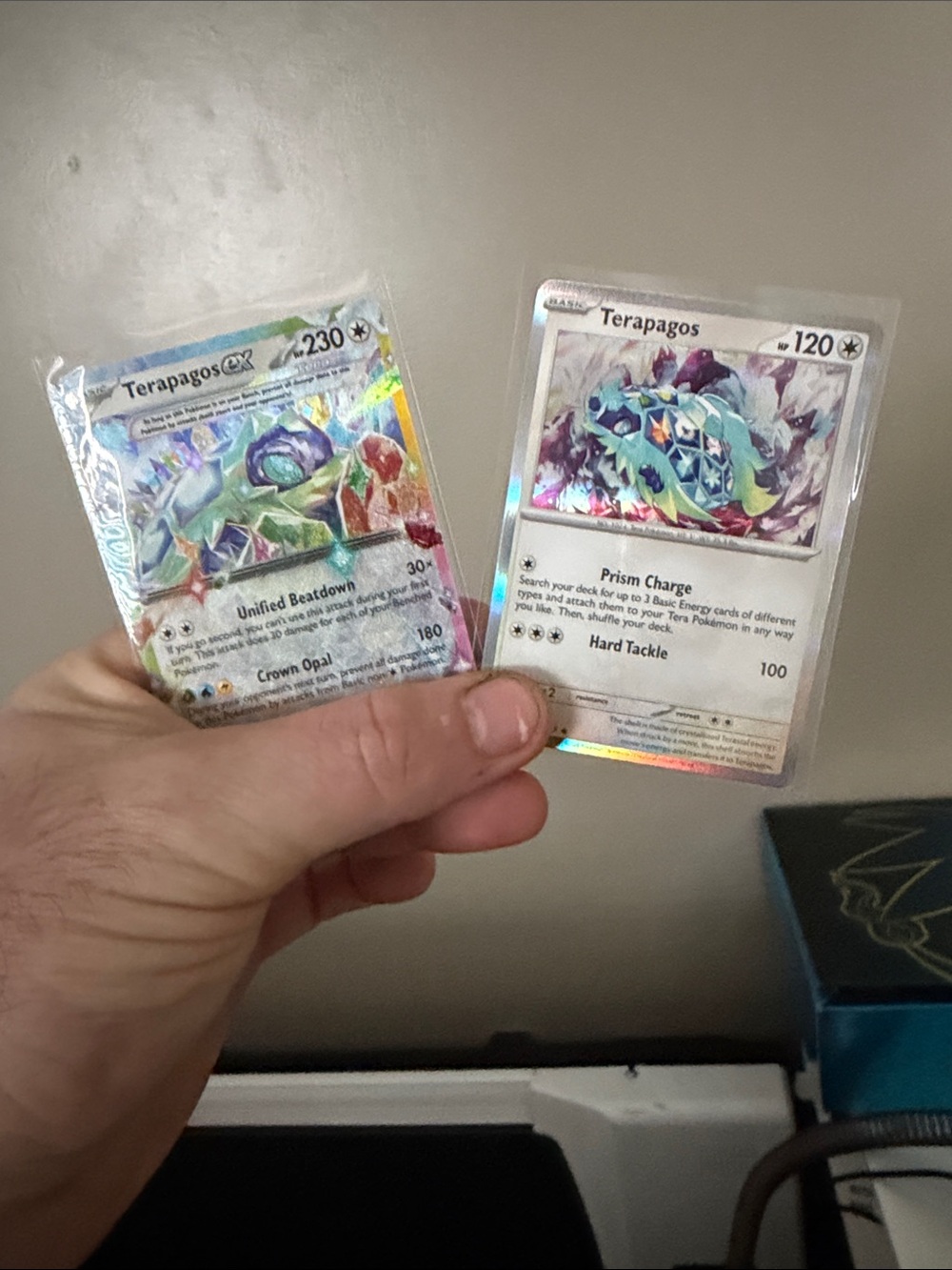 Pokemon Terapagos Holographic Card Pair - Rainbow Foil